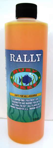 Ruby Reef Rally Refill Bottle 16oz.