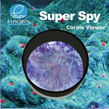 Eshopps Super Spy Coral Viewer Medium