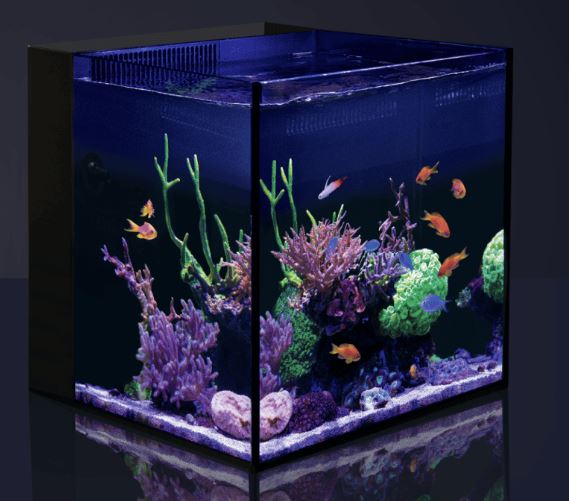 Red Sea Desktop 18.5-Gallon Cube Aquarium & Stand w/ FREE Pump