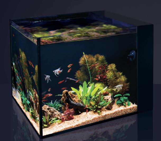 Red Sea Desktop 23.8-Gallon Peninsula Aquarium & Stand w/ FREE Pump